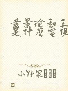 黄景瑜和王丽坤是什么电视剧