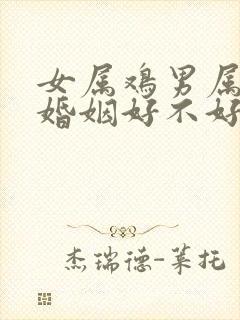 女属鸡男属猴的婚姻好不好封面