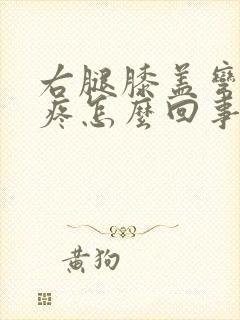 右腿膝盖弯曲就疼怎么回事