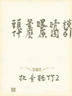 头晕眼睛模糊是什么原因引起