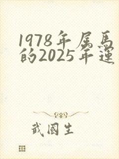 1978年属马的2025年运程