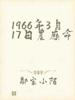 1966年3月17日农历命运封面