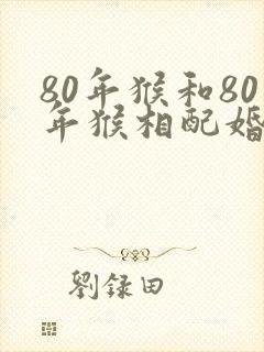 80年猴和80年猴相配婚姻如何封面