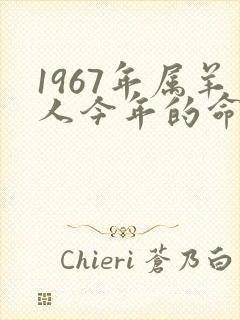1967年属羊人今年的命运