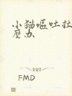 小猫呕吐拉稀怎么办