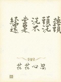 经常洗头掉发多还是不洗头掉发多