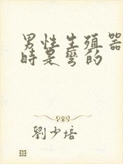 男性生殖器勃起时是弯的