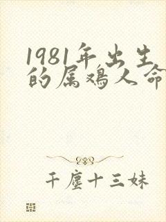 1981年出生的属鸡人命运怎样