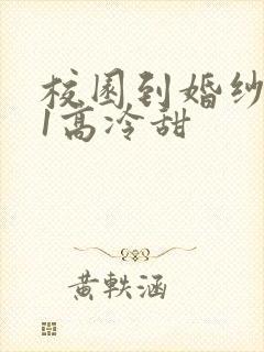 校园到婚纱1V1高冷甜