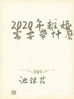2020年离婚需要带什么证件