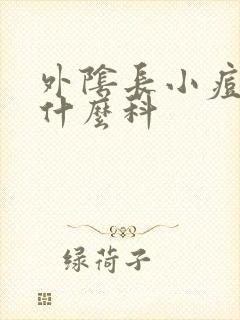 外阴长小痘痘挂什么科