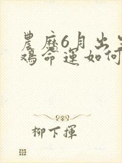 农历6月出生的鸡命运如何