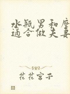 水瓶男和摩羯女适合做夫妻吗封面