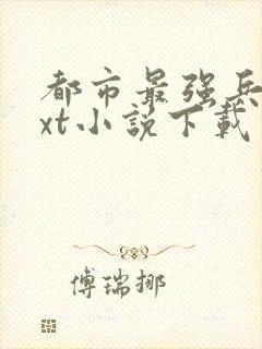 都市最强兵王txt小说下载