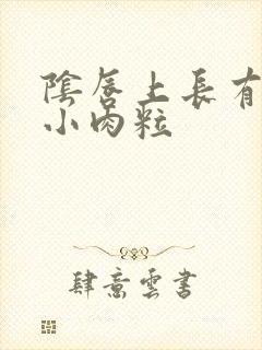 阴唇上长有白色小肉粒