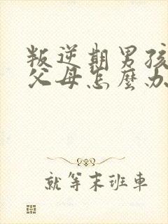 叛逆期男孩不理父母怎么办