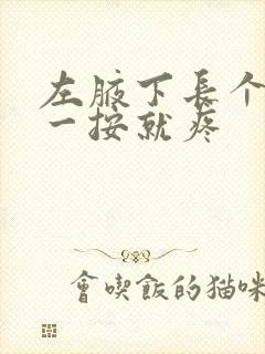 左腋下长个硬包一按就疼