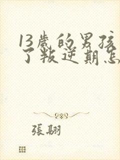 13岁的男孩到了叛逆期怎么教