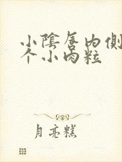 小阴唇内侧长了个小肉粒