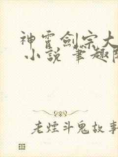 神霄剑宗大师兄 小说 笔趣阁封面