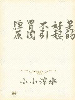 脾胃不好是什么原因引起的