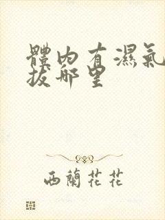 体内有湿气拔罐拔哪里封面