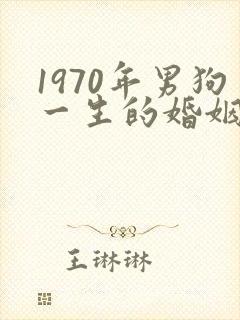 1970年男狗一生的婚姻及命运