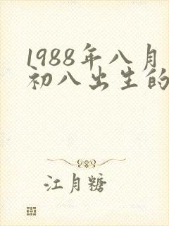 1988年八月初八出生的命运