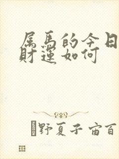 属马的今日运势财运如何