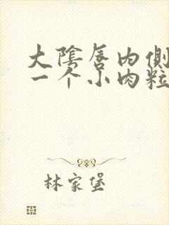 大阴唇内侧长了一个小肉粒