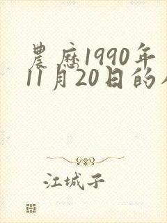 农历1990年11月20日的八字封面