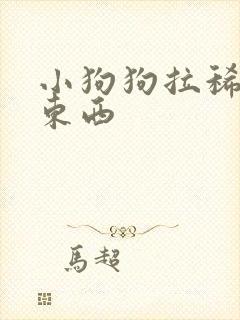 小狗狗拉稀不吃东西