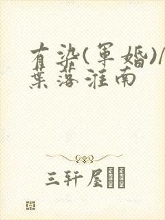 有染(军婚)/叶落淮南