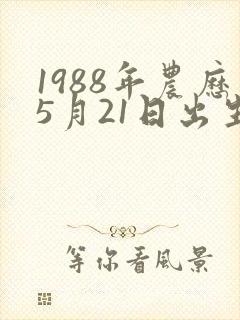 1988年农历5月21日出生人的命运