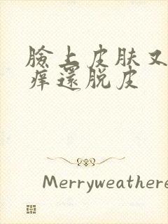 脸上皮肤又红又痒还脱皮