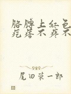 胳膊上红色凸起疙瘩不疼不痒