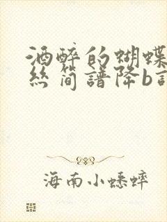 酒醉的蝴蝶葫芦丝简谱降b调封面