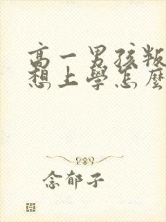 高一男孩叛逆不想上学怎么办封面