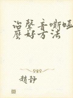 治声音嘶哑有什么好方法