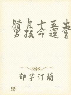 腊月十五出生的男孩命运会怎样