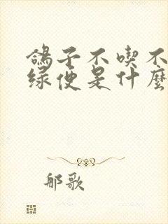 鸽子不吃不喝拉绿便是什么病