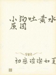 小狗吐黄水泡沫原因