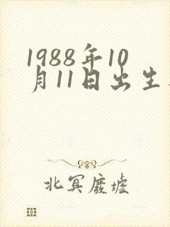 1988年10月11日出生人命运封面
