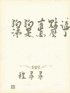 狗狗有点流清鼻涕是怎么了