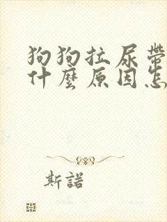 狗狗拉尿带血是什么原因怎么治疗