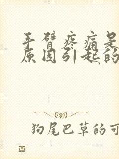 手臂疼痛是什么原因引起的