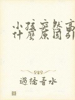 小孩突然高烧是什么原因引起封面