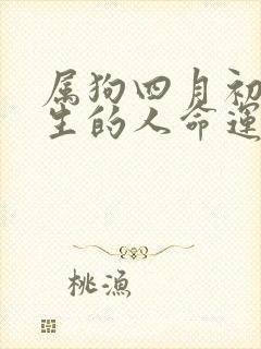 属狗四月初八出生的人命运