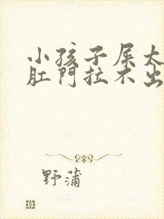 小孩子屎太硬在肛门拉不出来怎么办