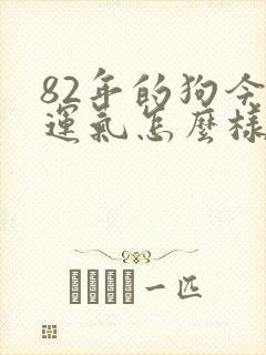 82年的狗今年运气怎么样?